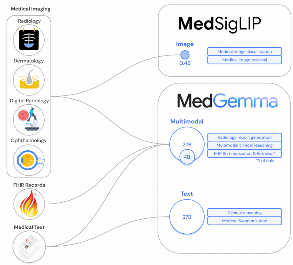 MedGemma model family overview: MedSigLIP (0.4B image), MedGemma 4B multimodal, and 27B text/multimodal variants with key use cases