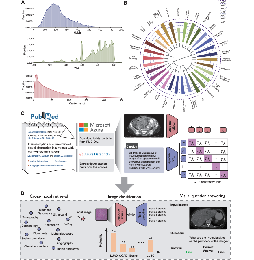 BiomedCLIP overview: PubMed dataset statistics, PMC-OA pipeline, and cross-modal medical retrieval tasks